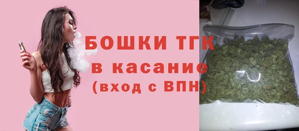 бошки Осинники