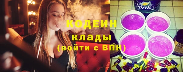 шишки Няндома