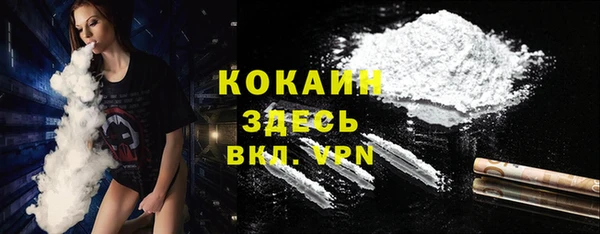 бошки Осинники