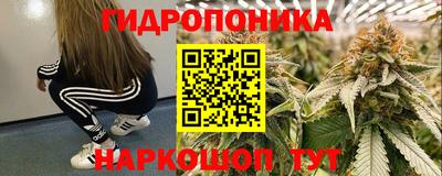 apvp Дубна