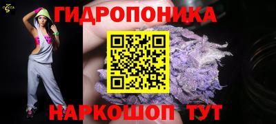 apvp Дубна