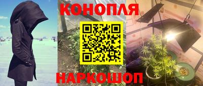 apvp Дубна