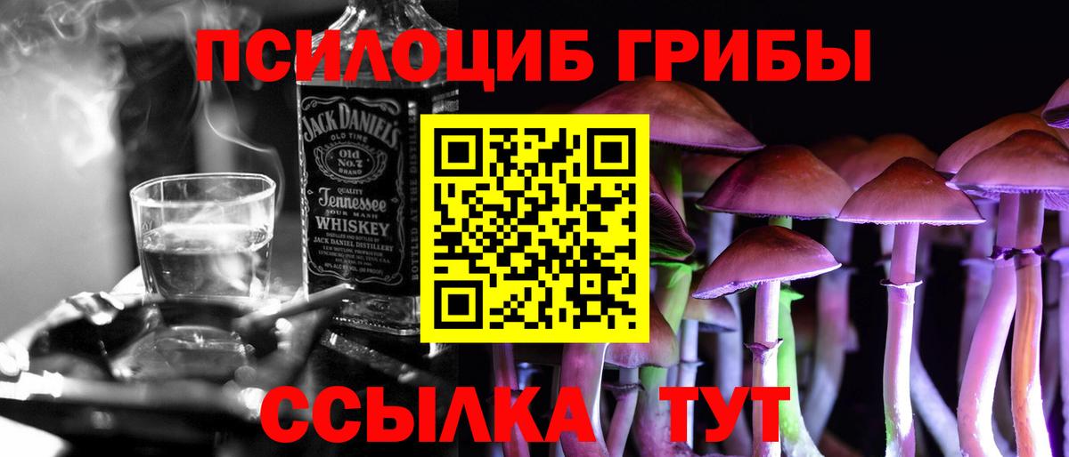 Псилоцибиновые грибы Psilocybine cubensis Кимры